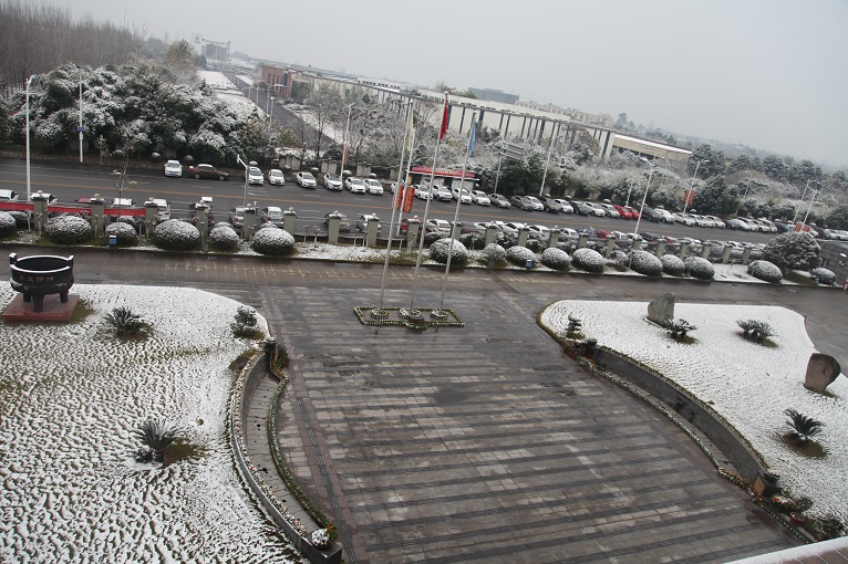 一場雪，才知道您有多美！